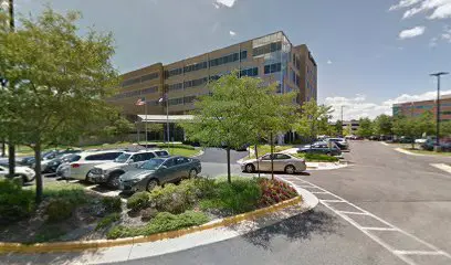 thumbnailpanoidvS-PioQU0m5zyDfufoAZLQcb_clientsearch.gws-prod.gpsw408h240yaw247.70343pitch0thumbfov100.jpeg